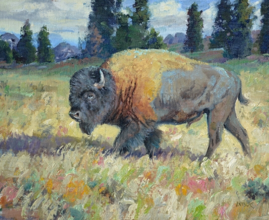 Jerry Antolik bison-170