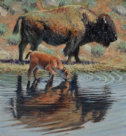 Jerry Antolik bison refreshing-143