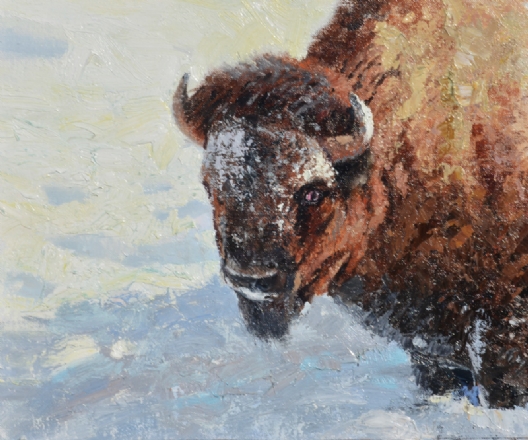 Jerry Antolik bison139